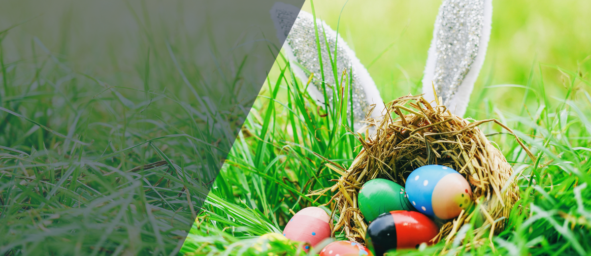 Bunte bemalte Ostereier im Strohnest, mit Hasenohren im Gras – bayerisches Ostergeschenk.